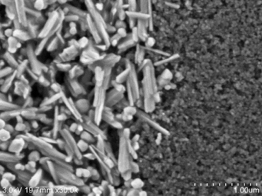 Conductive-SEM-Coating-Fluid-conctact-lens2